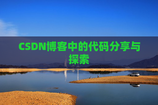 CSDN博客中的代码分享与探索